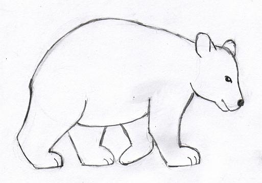 513x359 Bear Drawing - Bear Drawing Images