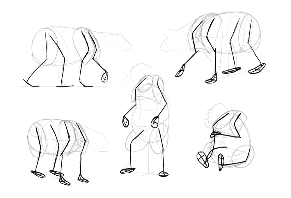 1000x682 How To Draw Bears Big, Fluffy Clumsy - Bear Drawing Step By Step