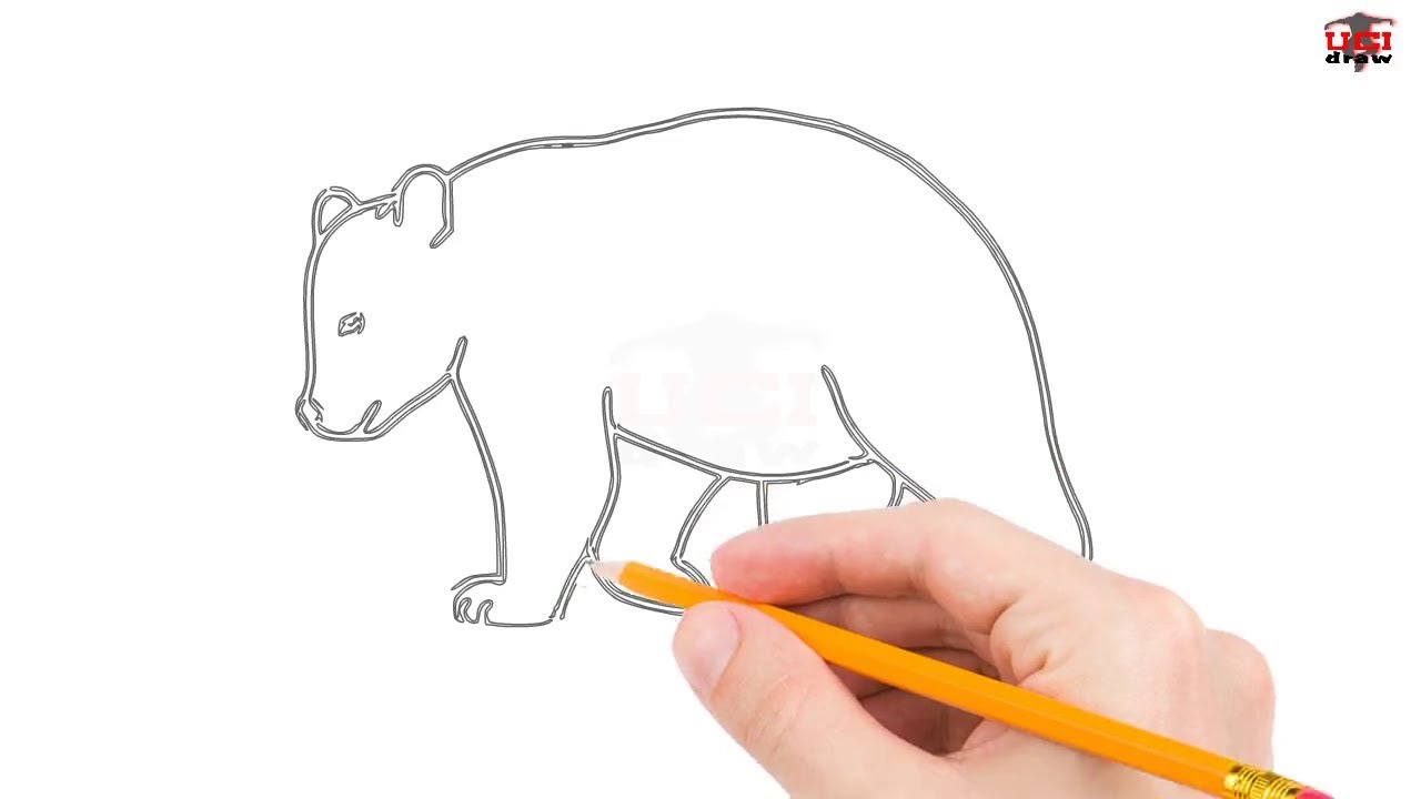 1280x720 How To Draw A Bear Step - Bear Drawing Step By Step
