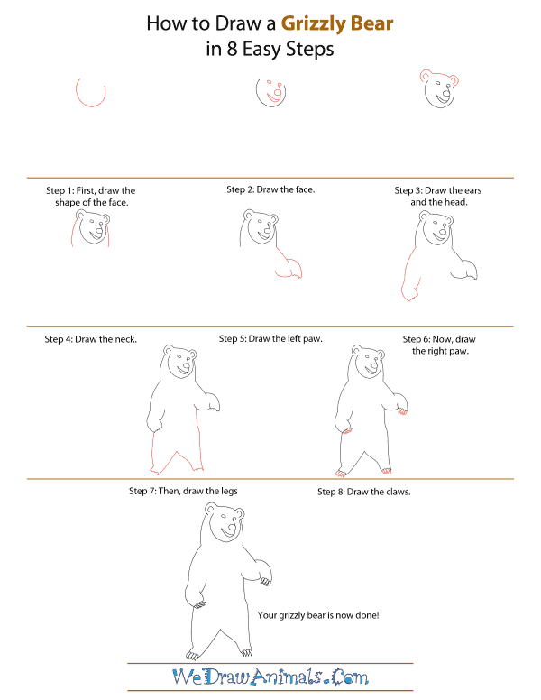 600x776 How To Draw A Grizzly Bear - Bear Drawing Step By Step
