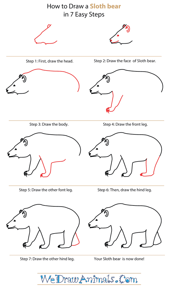 600x1000 How To Draw A Sloth Bear - Bear Drawing Step By Step