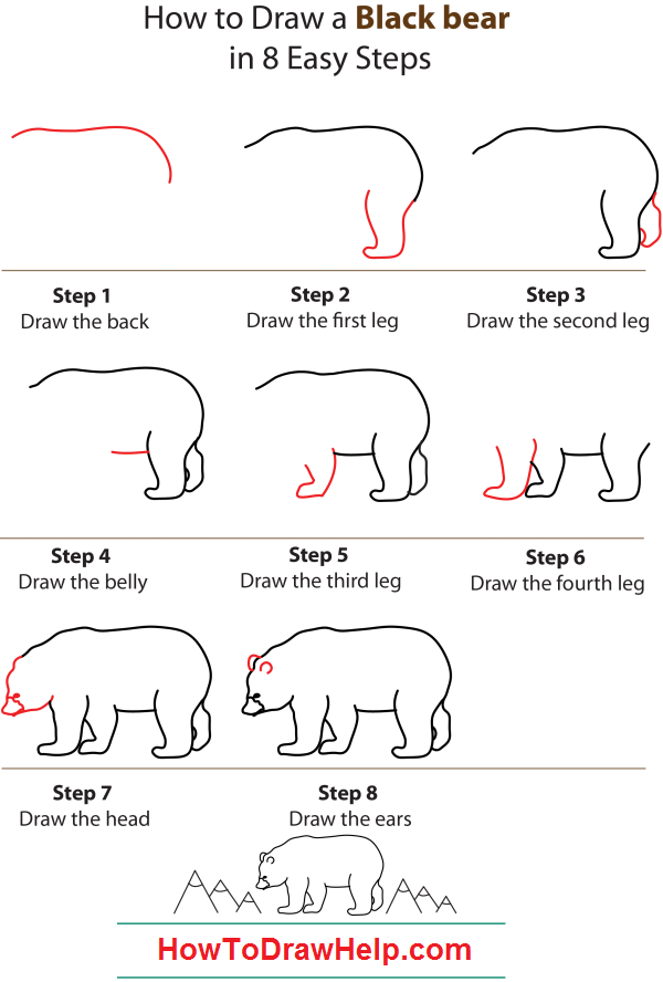 600x888 How To Draw A Black Bear Step - Bear Drawing Step By Step
