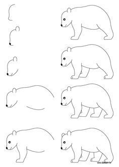 236x333 How To Draw Step - Bear Drawing Step By Step