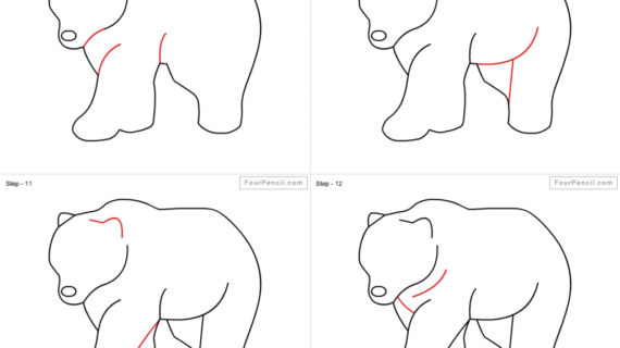 570x320 Polar Bear Drawing Easy - Bear Drawing Step By Step