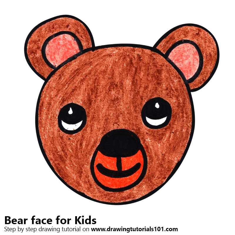 800x800 Drawing Of A Bear Face - Bear Face Drawing