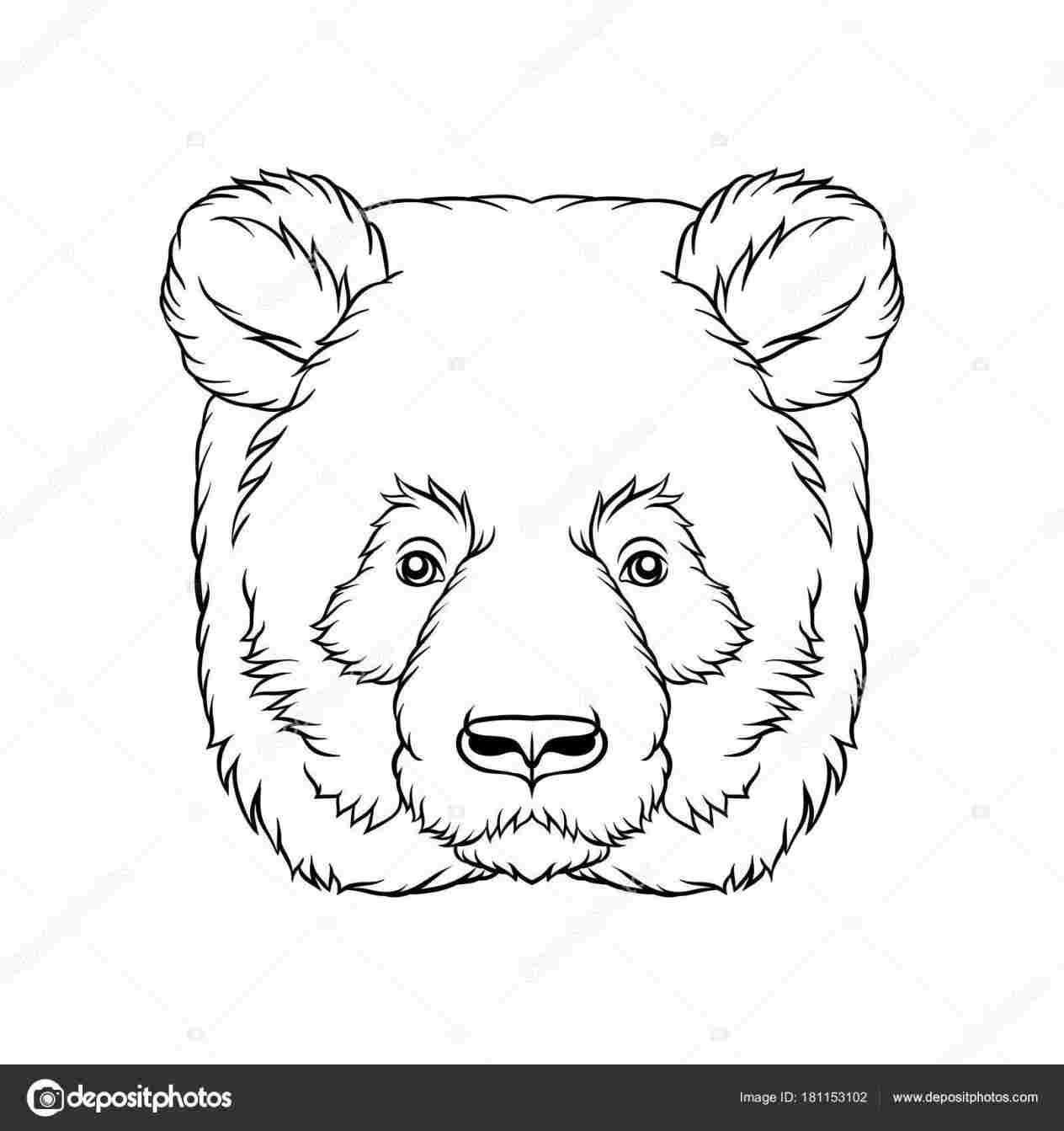 1264x1343 Black Bear Face Drawing - Bear Face Drawing