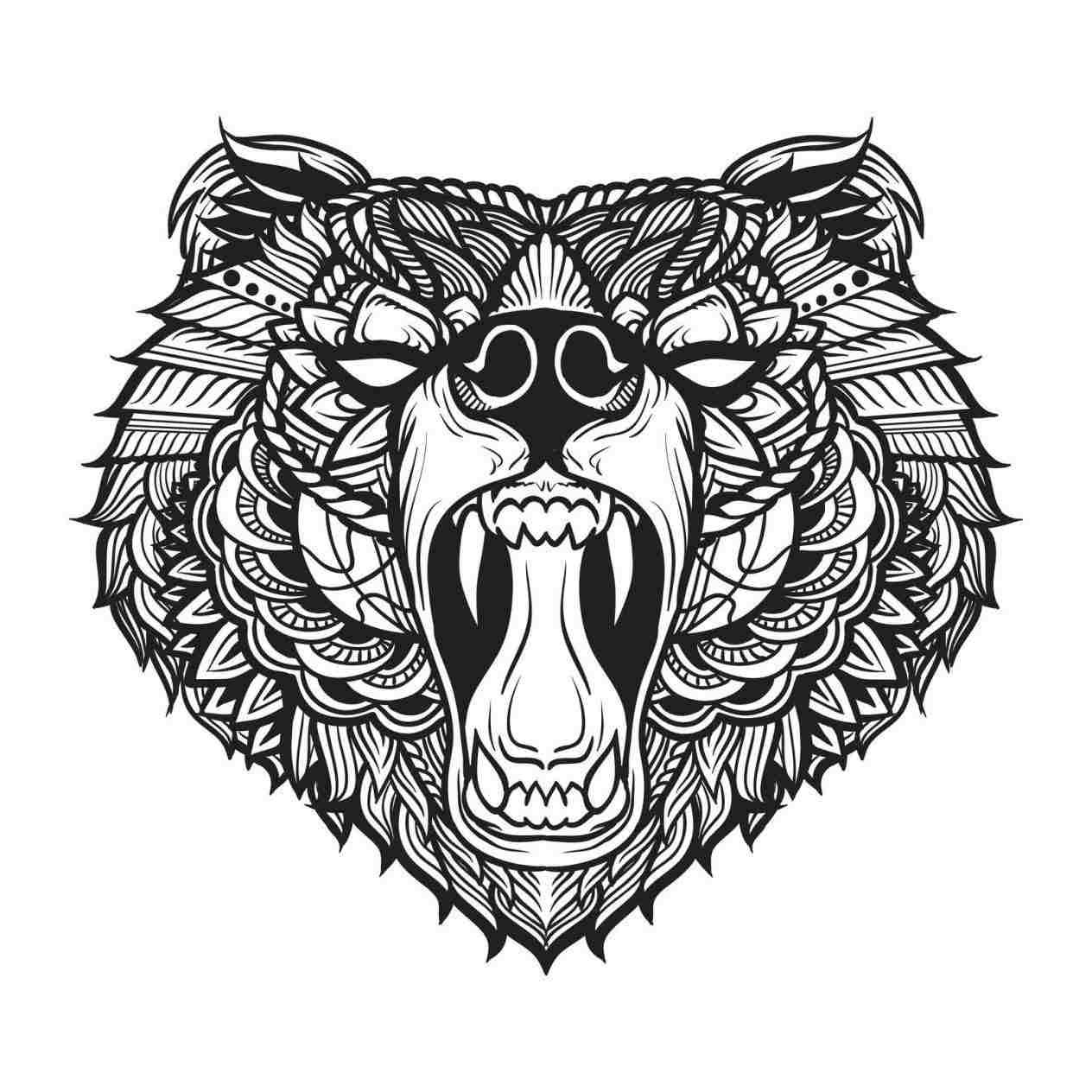 1264x1264 Polar Bear Face Drawing - Bear Face Drawing