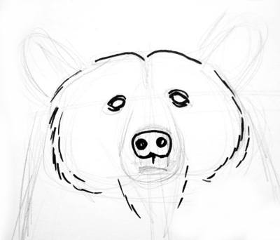 400x342 Bear Face Drawing - Bear Face Drawing
