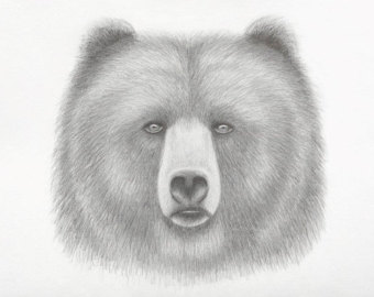 340x270 Bear Spirit Pencil Drawing Printart Printpencil Etsy - Bear Face Drawing