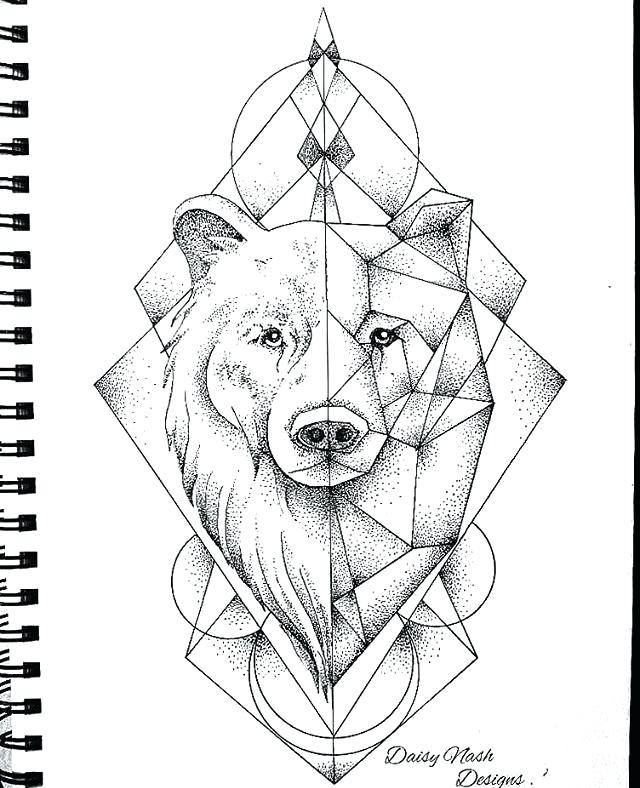 640x788 geometric bear head uk steventang - Bear Head Drawing