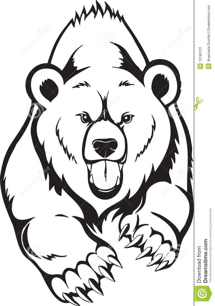 736x1047 grizzly bear head outline grizzly bear head school art - Bear Head Drawing