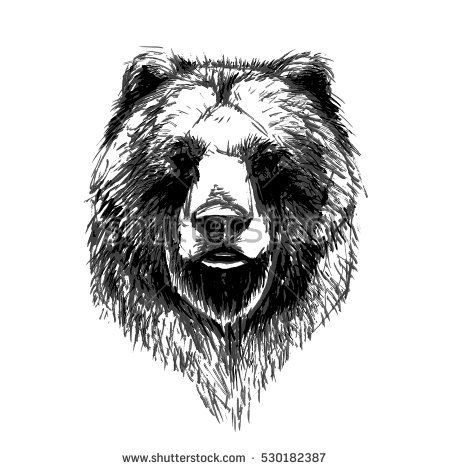 450x470 tattoo bear vector, bear tattoos, bear art - Bear Head Drawing
