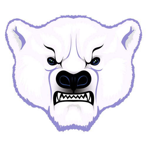 500x500 Polar Bear Head Drawing - Bear Head Drawing