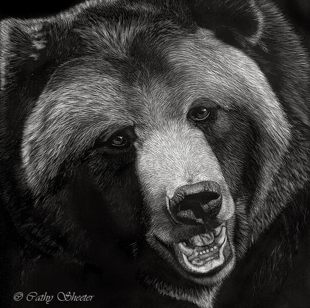 605x600 Realistic Animal Drawings Realistic Animal Drawing Grizzly Bear Head - Bear Head Drawing
