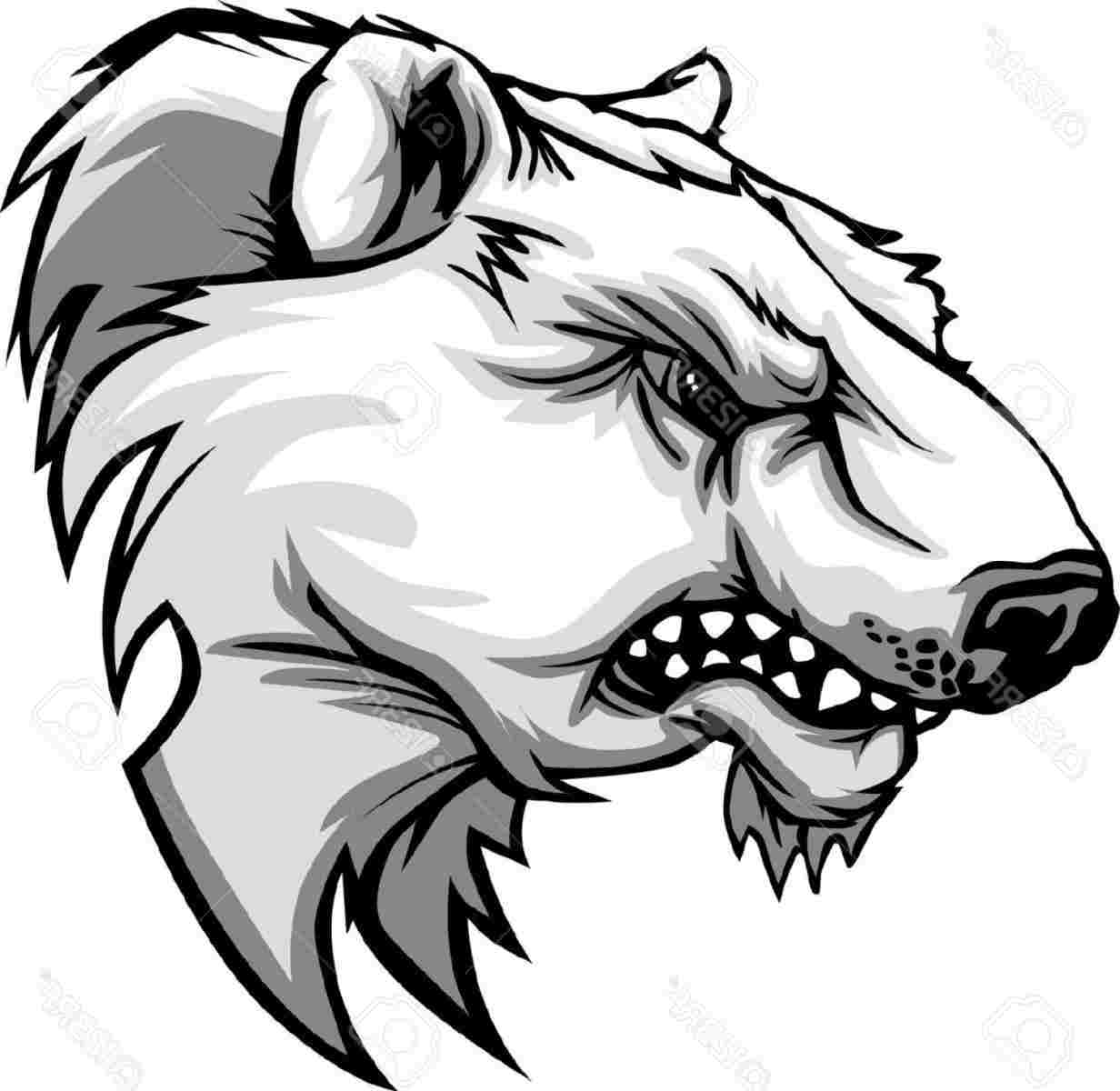 1232x1200 vector polar bear head drawing sketch of a bearus face bear - Bear Head Drawing
