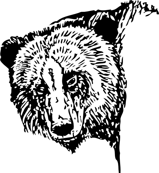 552x600 Bear Head Drawing Clip Art - Bear Head Drawing