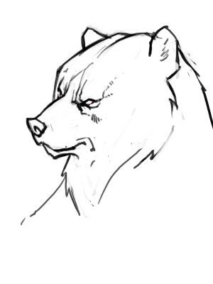 300x400 Bear Head Drawing - Bear Head Drawing