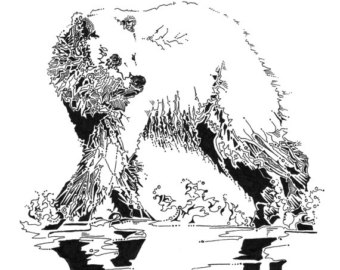 340x270 Gallery Black Bear Line Art - Bear Line Drawing