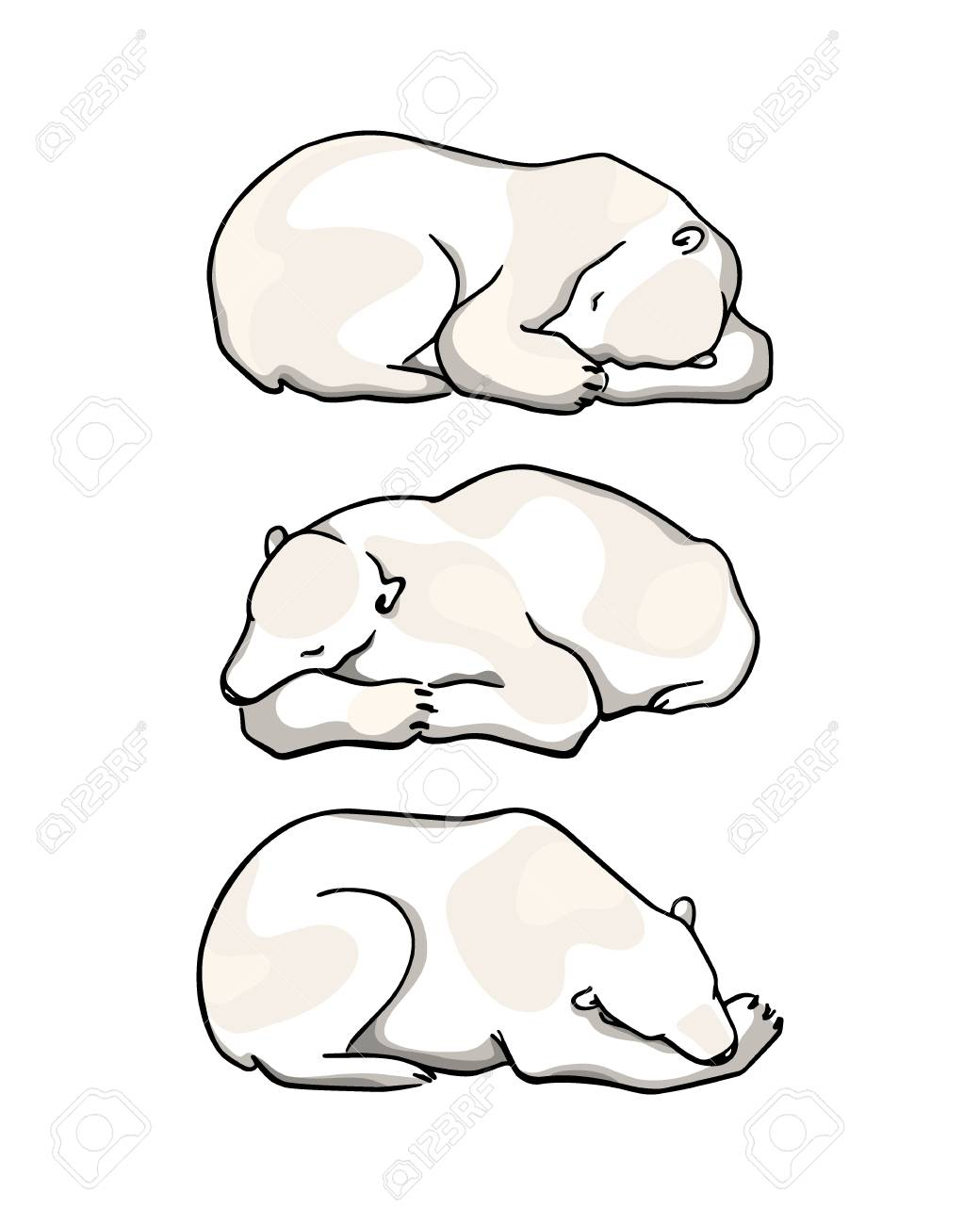 1040x1300 Polar Bear Face Drawing - Bear Line Drawing
