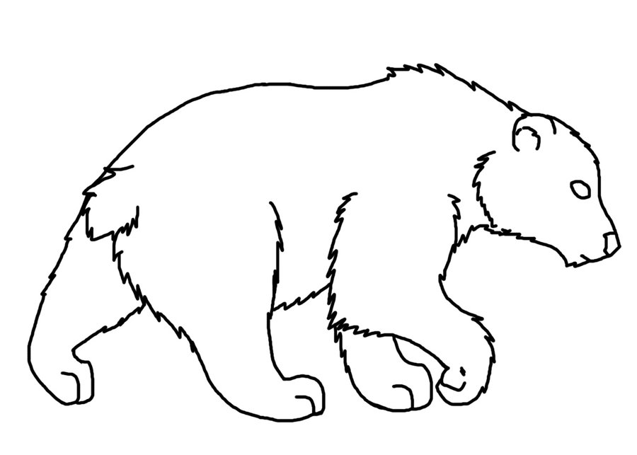 900x643 Bear Line Art - Bear Line Drawing
