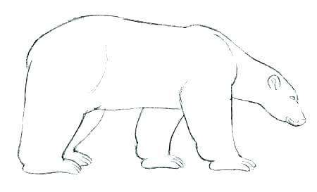 450x273 Black Bear Drawing Outline At Free For Personal Polar Teddy Images - Bear Outline Drawing