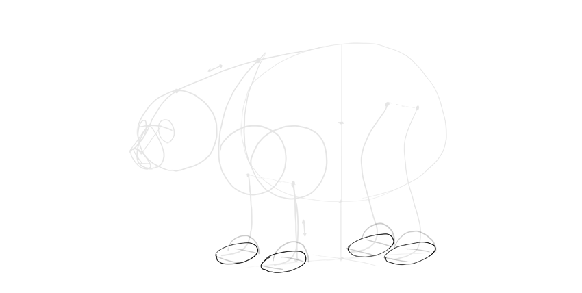 850x428 How To Draw A Bear - Bear Outline Drawing