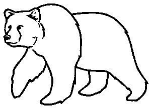 300x216 Image Result For Outlines Of Bears Projects To Try - Bear Outline Drawing