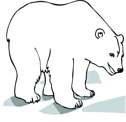 432x419 Picture Of A Bear To Color Outline Drawing Polar Amazing Tattoo - Bear Outline Drawing