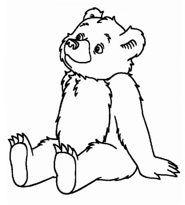 725x800 polar bear coloring pages new outline drawing of a polar bear - Bear Outline Drawing