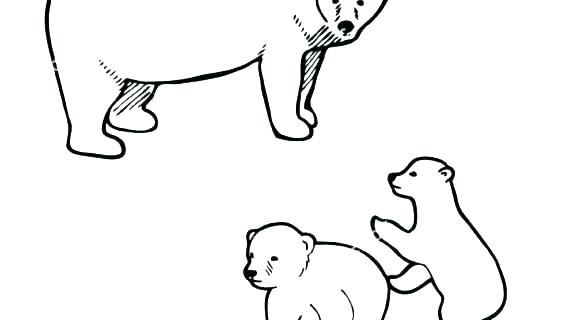 570x320 polar bear outline drawing polar bear coloring pages arctic giants - Bear Outline Drawing