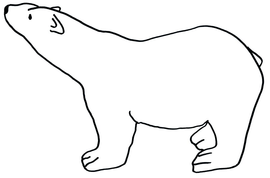 900x592 bear templates best photos of cute polar bear outline teddy - Bear Outline Drawing