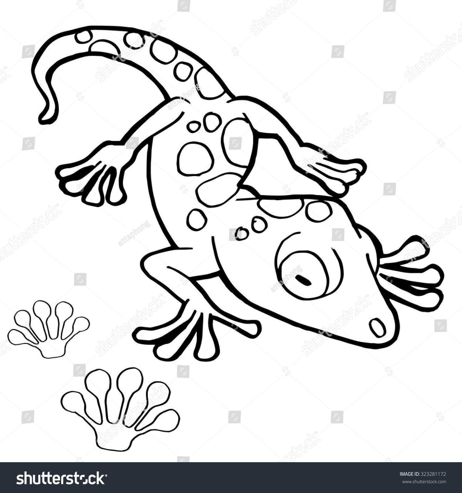 1500x1600 Paw Print Coloring - Bear Paw Drawing