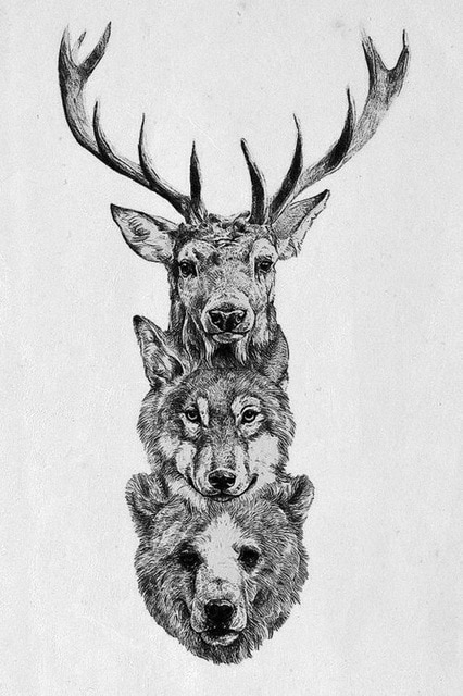 426x640 Diy Frame Stag Wolf Bear Pencil Sketch Wild Animal Poster Fabric - Bear Pencil Drawing
