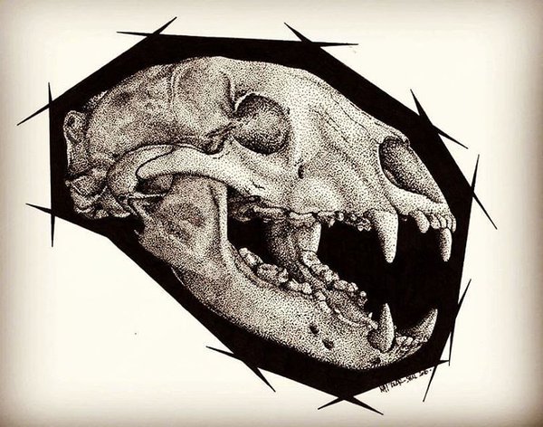 600x472 Bear Skull Drawing At Com Free For Personal Use B On Tribal Black - Bear Skull Drawing