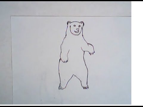 480x360 How To Draw A Grizzly Bear - Bear Standing Up Drawing