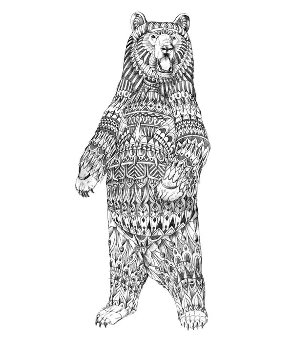 600x690 Bear Sketch Images - Bear Standing Up Drawing