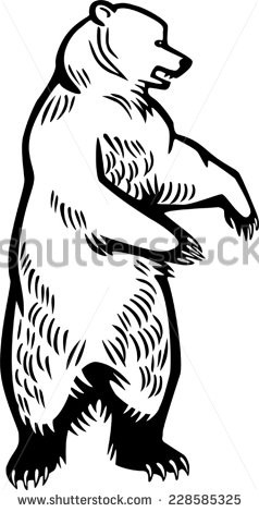 238x470 Bear Standing Up Drawing - Bear Standing Up Drawing