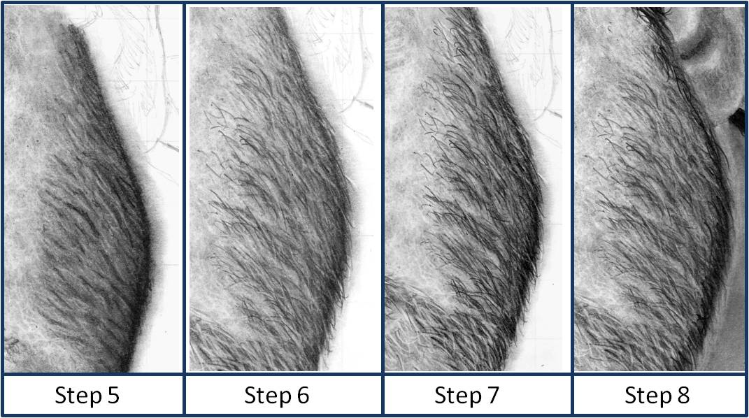 1071x598 draw a long' - Beard Drawing