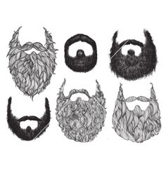 Beard Drawing At PaintingValley.com | Explore Collection Of Beard Drawing