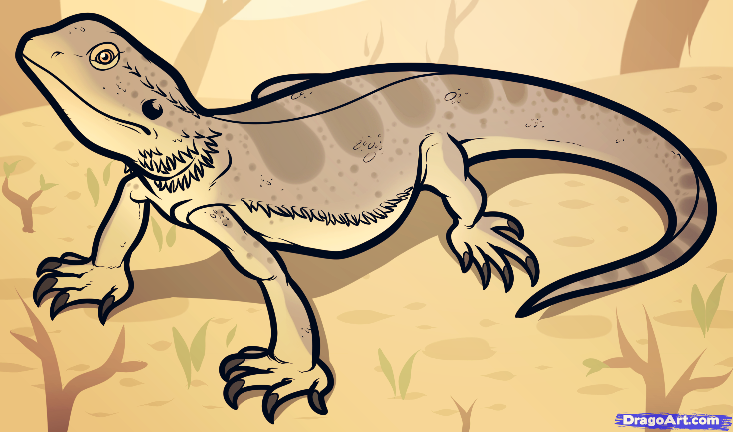 1469x865 How To Draw A Bearded Dragon, Bearded Dragon Lizard, Step - Bearded Dragon Drawing