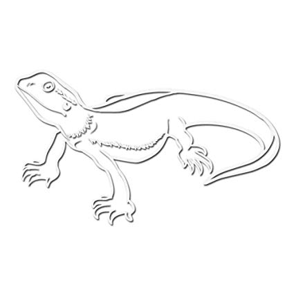 425x425 Bearded Dragon Star Decal Sticker - Bearded Dragon Drawing