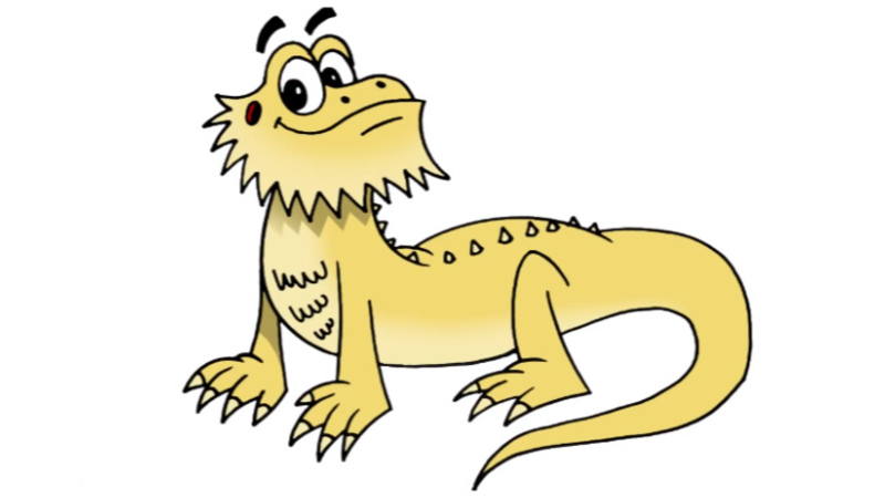 800x450 How To Draw A Bearded Dragon Lizard - Bearded Dragon Drawing