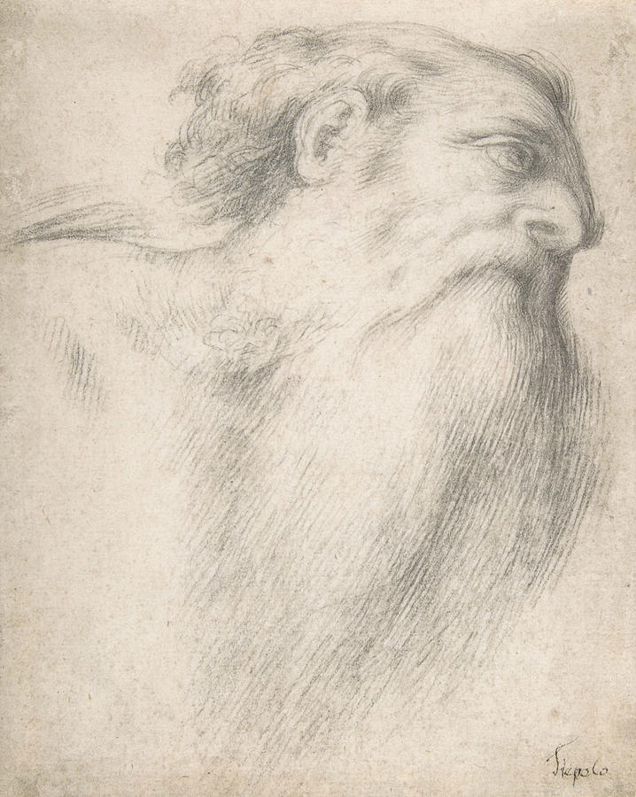 718x900 Head Of A Bearded Man Drawing - Bearded Man Drawing