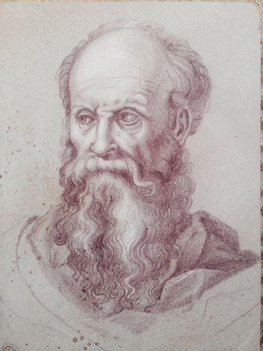 540x720 Head Of A Bearded Man Facing Right - Bearded Man Drawing