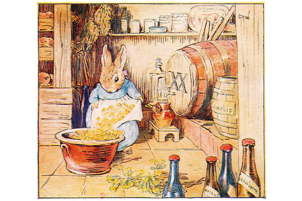 620x413 the art of beatrix potter the spectator - Beatrix Potter Drawings