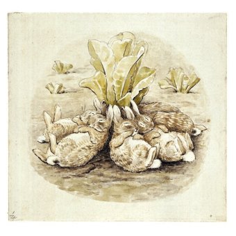 340x340 beatrix potter - Beatrix Potter Drawings