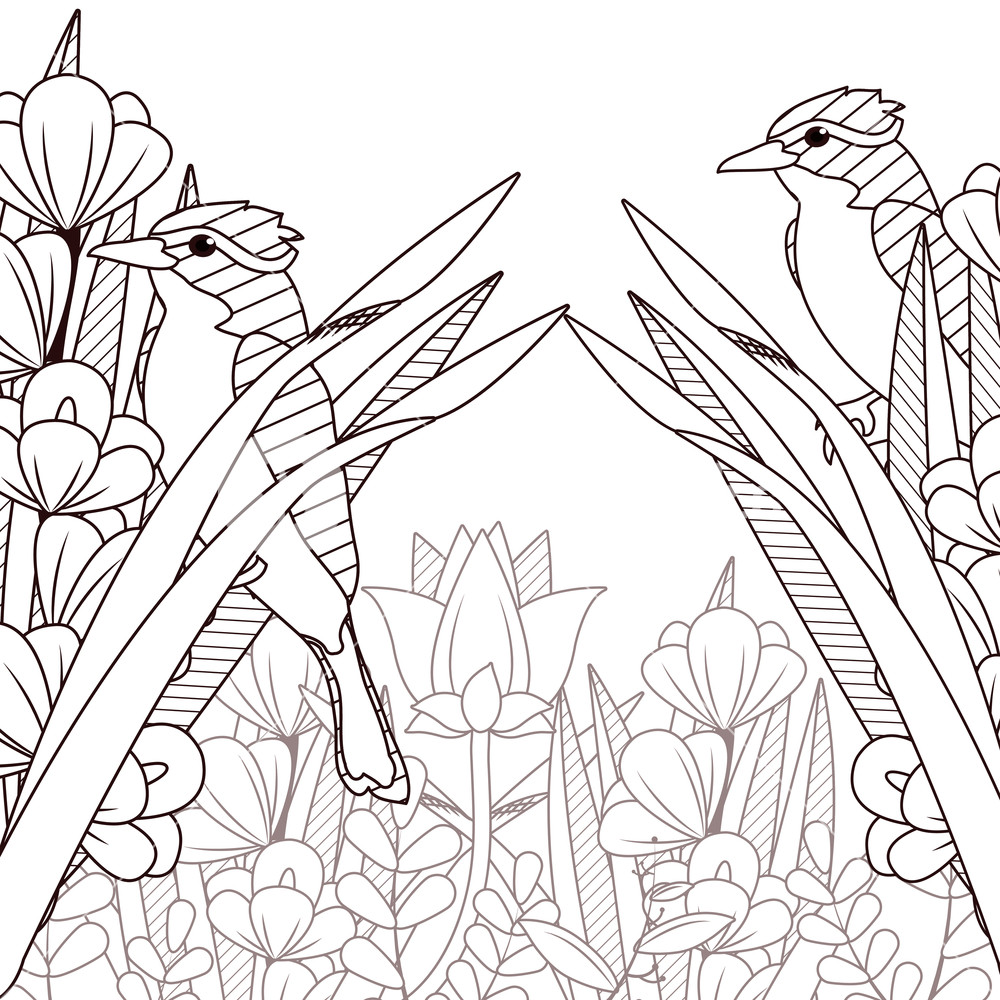 1000x1000 Beautiful Birds Drawings On Black And White Vector Illustration - Beautiful Birds Drawing