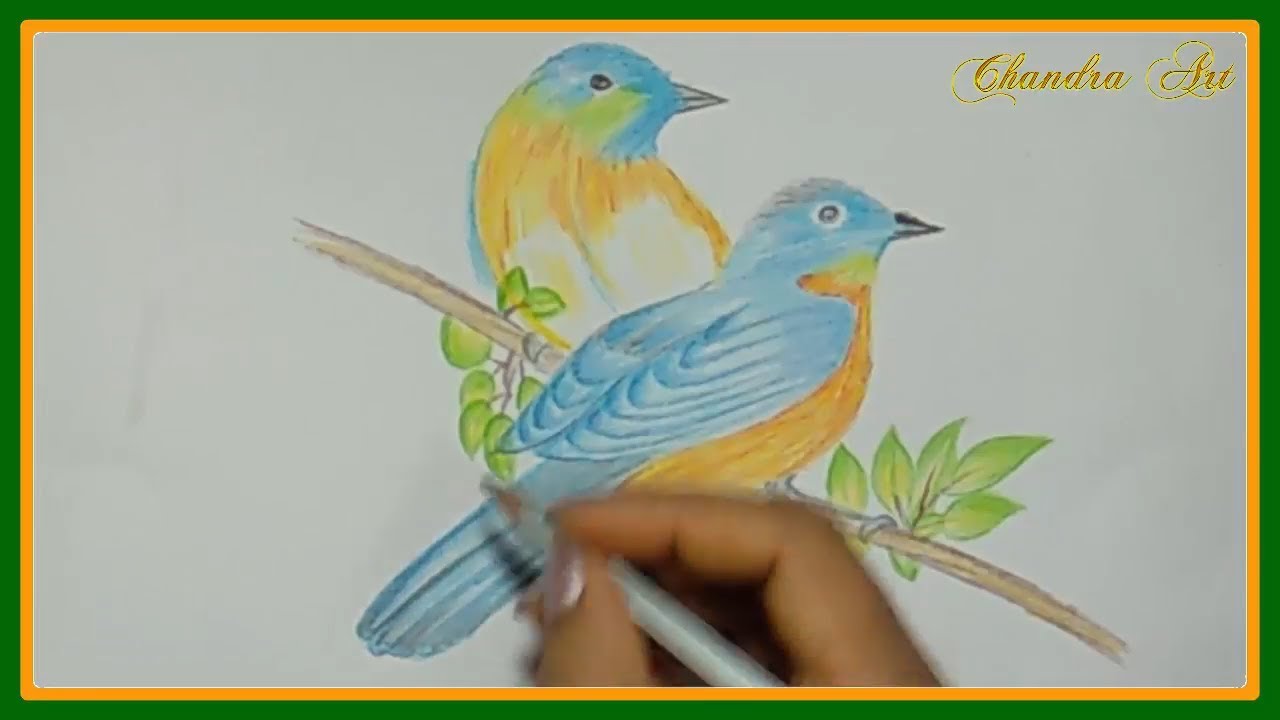 1280x720 Drawing A Pair Of Beautiful Birds With Colored Pencils - Beautiful Birds Drawing