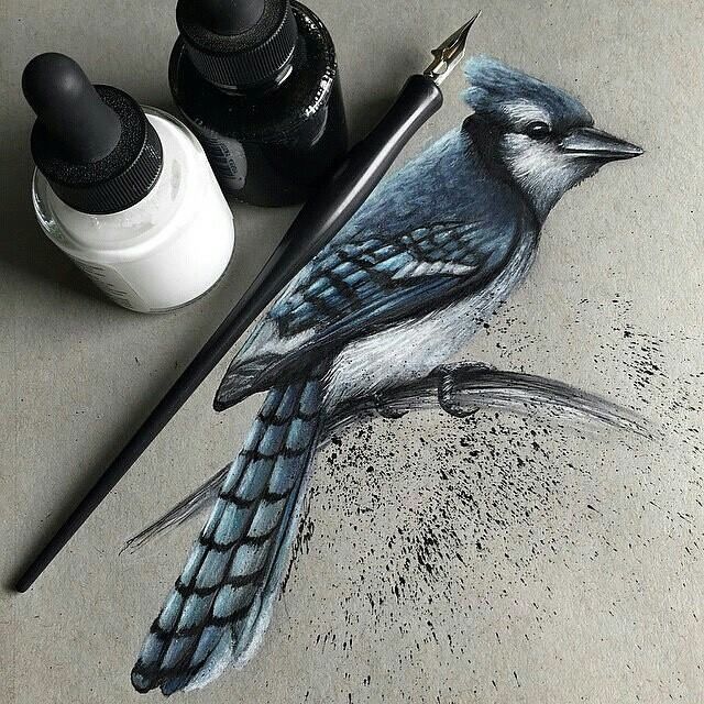 640x640 Beautiful Bird Drawings And Art Works For Your Inspiration - Beautiful Birds Drawing