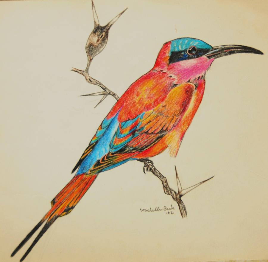 900x879 Beautiful Bird Drawing - Beautiful Birds Drawing